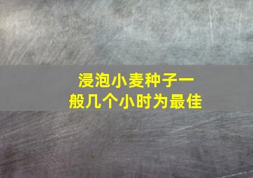 浸泡小麦种子一般几个小时为最佳