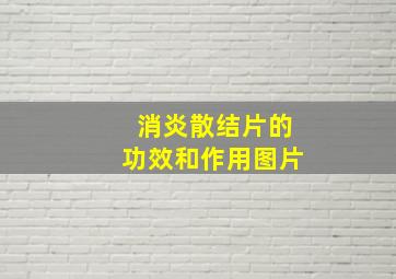 消炎散结片的功效和作用图片