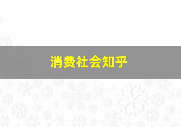 消费社会知乎