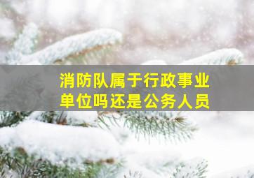 消防队属于行政事业单位吗还是公务人员