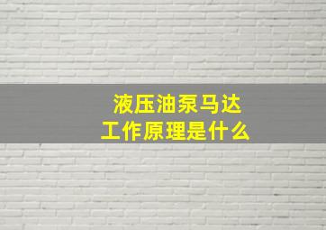 液压油泵马达工作原理是什么