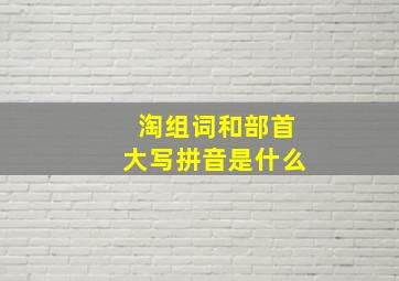 淘组词和部首大写拼音是什么