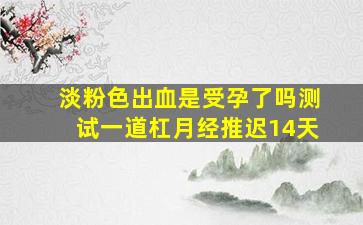 淡粉色出血是受孕了吗测试一道杠月经推迟14天