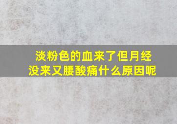 淡粉色的血来了但月经没来又腰酸痛什么原因呢