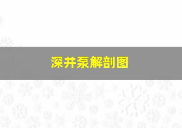 深井泵解剖图