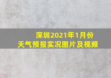 深圳2021年1月份天气预报实况图片及视频