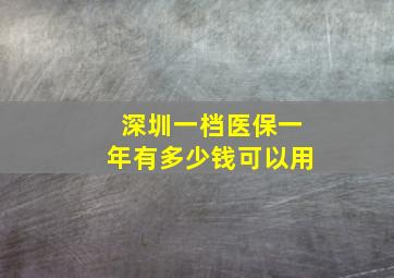 深圳一档医保一年有多少钱可以用