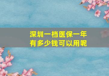 深圳一档医保一年有多少钱可以用呢