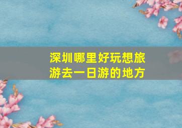 深圳哪里好玩想旅游去一日游的地方