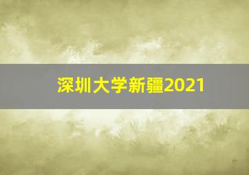 深圳大学新疆2021