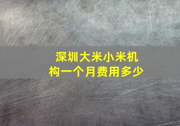 深圳大米小米机构一个月费用多少