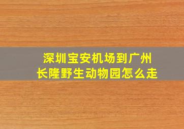 深圳宝安机场到广州长隆野生动物园怎么走