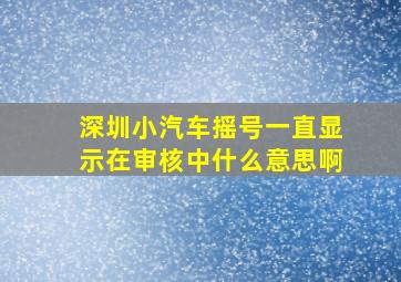 深圳小汽车摇号一直显示在审核中什么意思啊