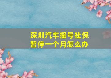 深圳汽车摇号社保暂停一个月怎么办