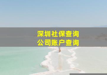 深圳社保查询公司账户查询