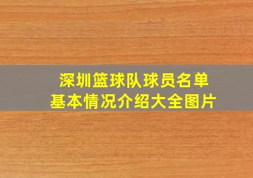 深圳篮球队球员名单基本情况介绍大全图片