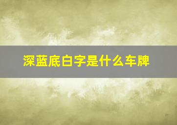 深蓝底白字是什么车牌