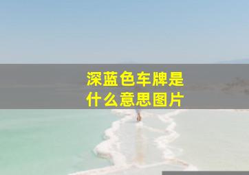 深蓝色车牌是什么意思图片