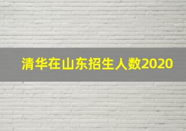 清华在山东招生人数2020