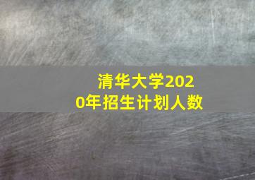 清华大学2020年招生计划人数