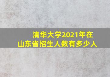 清华大学2021年在山东省招生人数有多少人