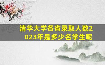 清华大学各省录取人数2023年是多少名学生呢