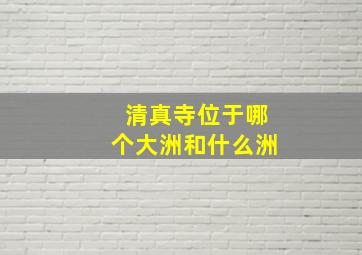 清真寺位于哪个大洲和什么洲