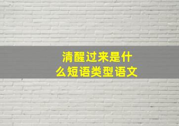 清醒过来是什么短语类型语文