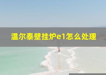 温尔泰壁挂炉e1怎么处理