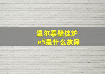 温尔泰壁挂炉e5是什么故障