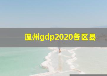 温州gdp2020各区县