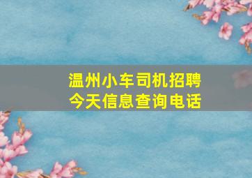 温州小车司机招聘今天信息查询电话