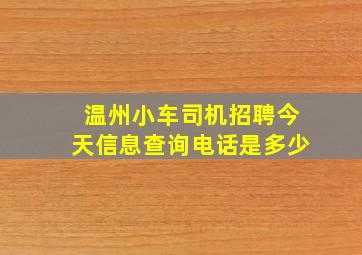 温州小车司机招聘今天信息查询电话是多少