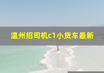 温州招司机c1小货车最新