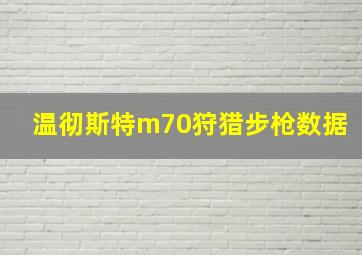 温彻斯特m70狩猎步枪数据