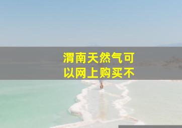 渭南天然气可以网上购买不