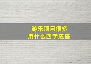 游乐项目很多用什么四字成语