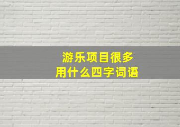 游乐项目很多用什么四字词语