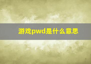 游戏pwd是什么意思