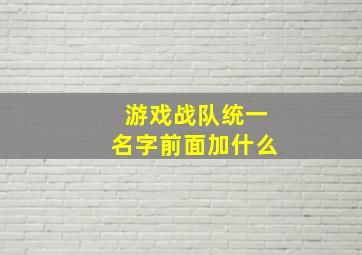 游戏战队统一名字前面加什么