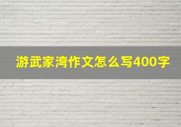 游武家湾作文怎么写400字