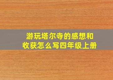 游玩塔尔寺的感想和收获怎么写四年级上册