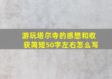 游玩塔尔寺的感想和收获简短50字左右怎么写