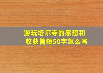 游玩塔尔寺的感想和收获简短50字怎么写