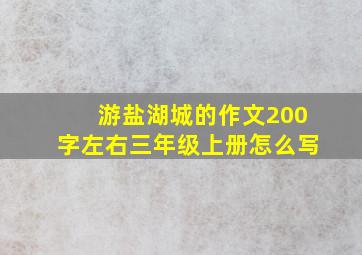 游盐湖城的作文200字左右三年级上册怎么写