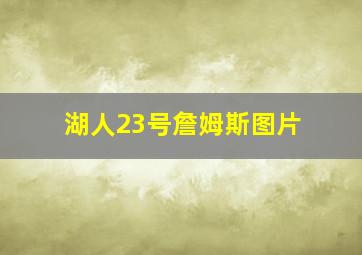 湖人23号詹姆斯图片