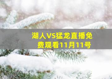 湖人VS猛龙直播免费观看11月11号