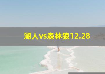 湖人vs森林狼12.28