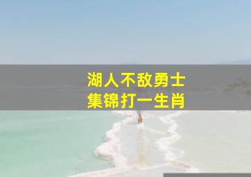 湖人不敌勇士集锦打一生肖