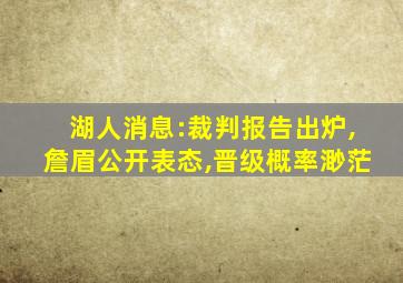 湖人消息:裁判报告出炉,詹眉公开表态,晋级概率渺茫